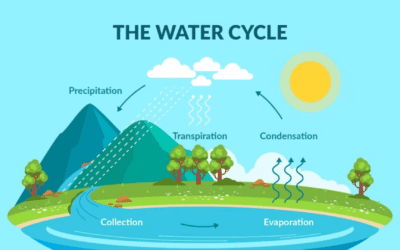 Cycles in Matter and Water